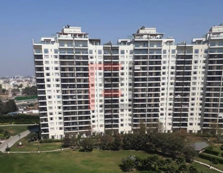 3 BHK Apartment in M3M Golf View Estate