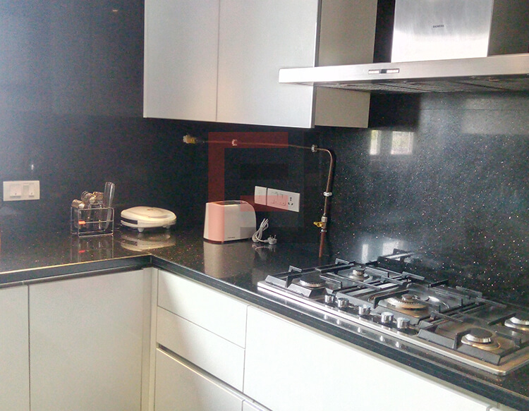 4 BHK Apartment - Vasant Vihar
